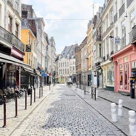 Vieux Lille: Pretty With Terrace Apartment Lille